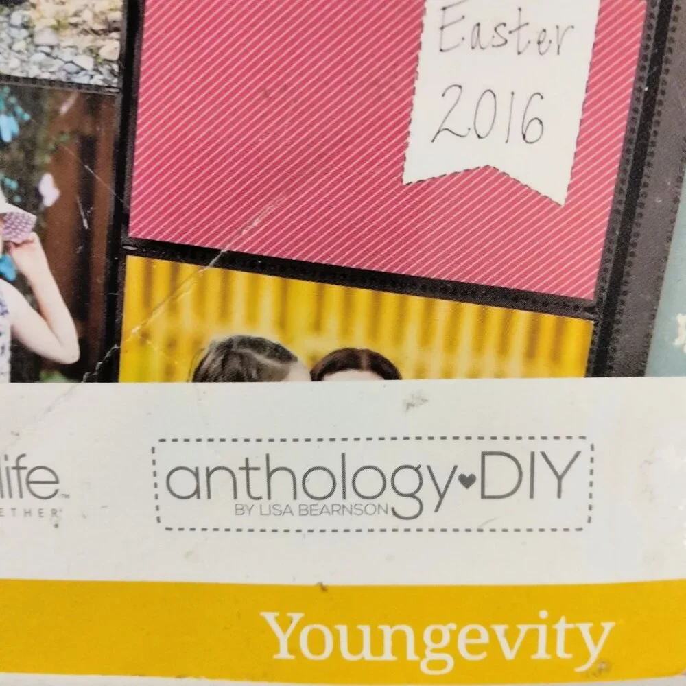 Memory Keeping Spring 2016 Scrapbooking Catalog Junk Journal Craft Cards